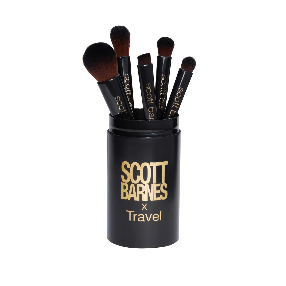 Travel brushes kit